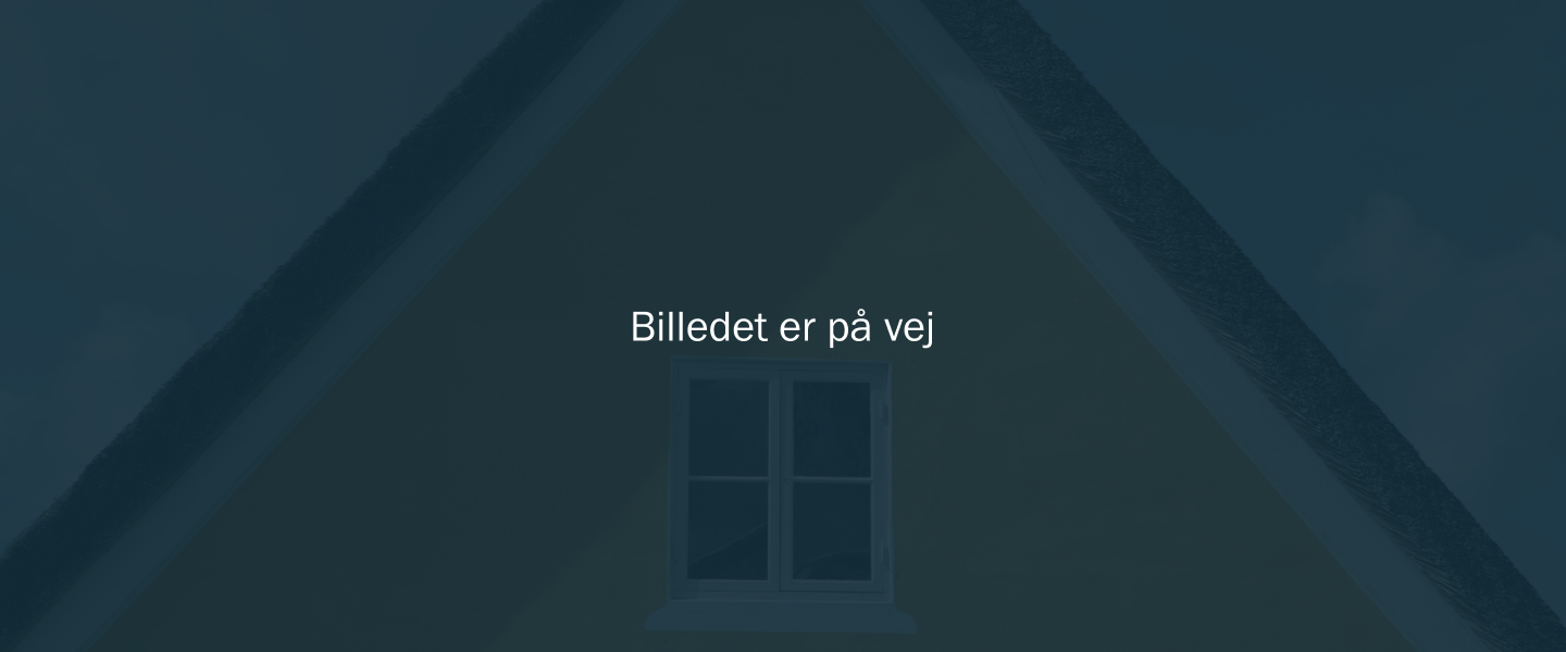 Standardbillede